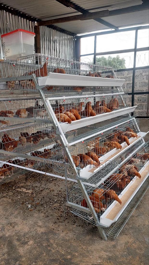 Battery Chicken Cages - main view