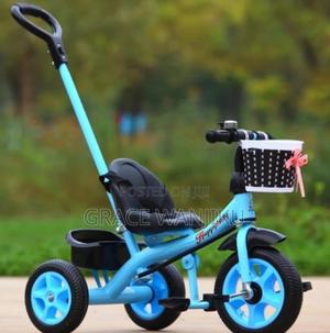 Tricycle With Push Handle - main view