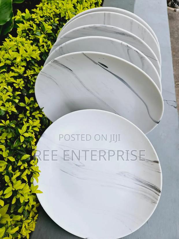 Brand New 6pc Ceramic Plates
