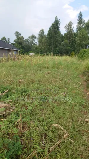 0.3ha Land in Kisumu Chiga