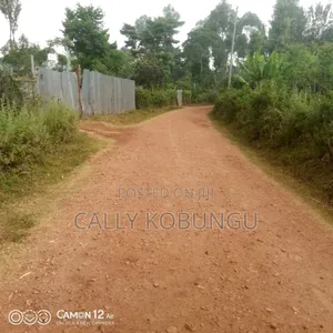 0.3ha Land in Kisumu Chiga