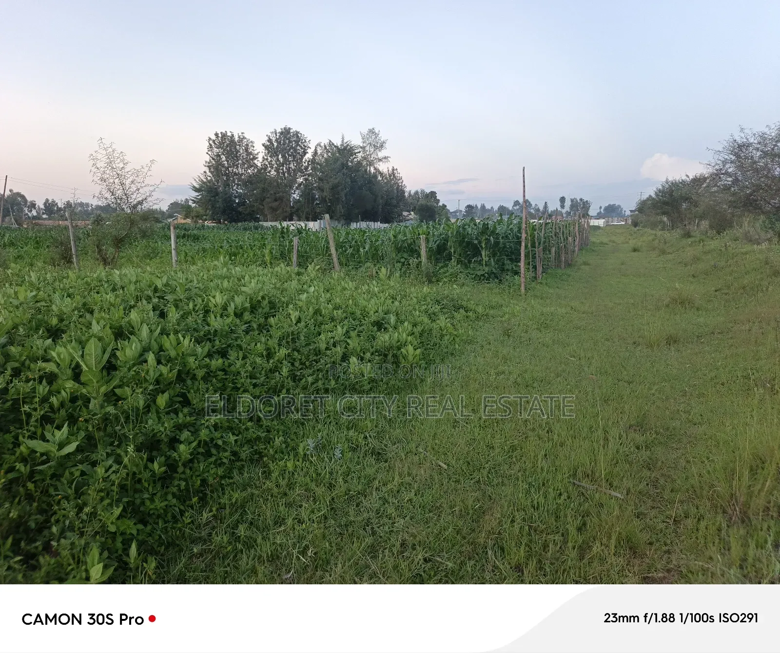 1/8 Plot Kimumu Better Farm.