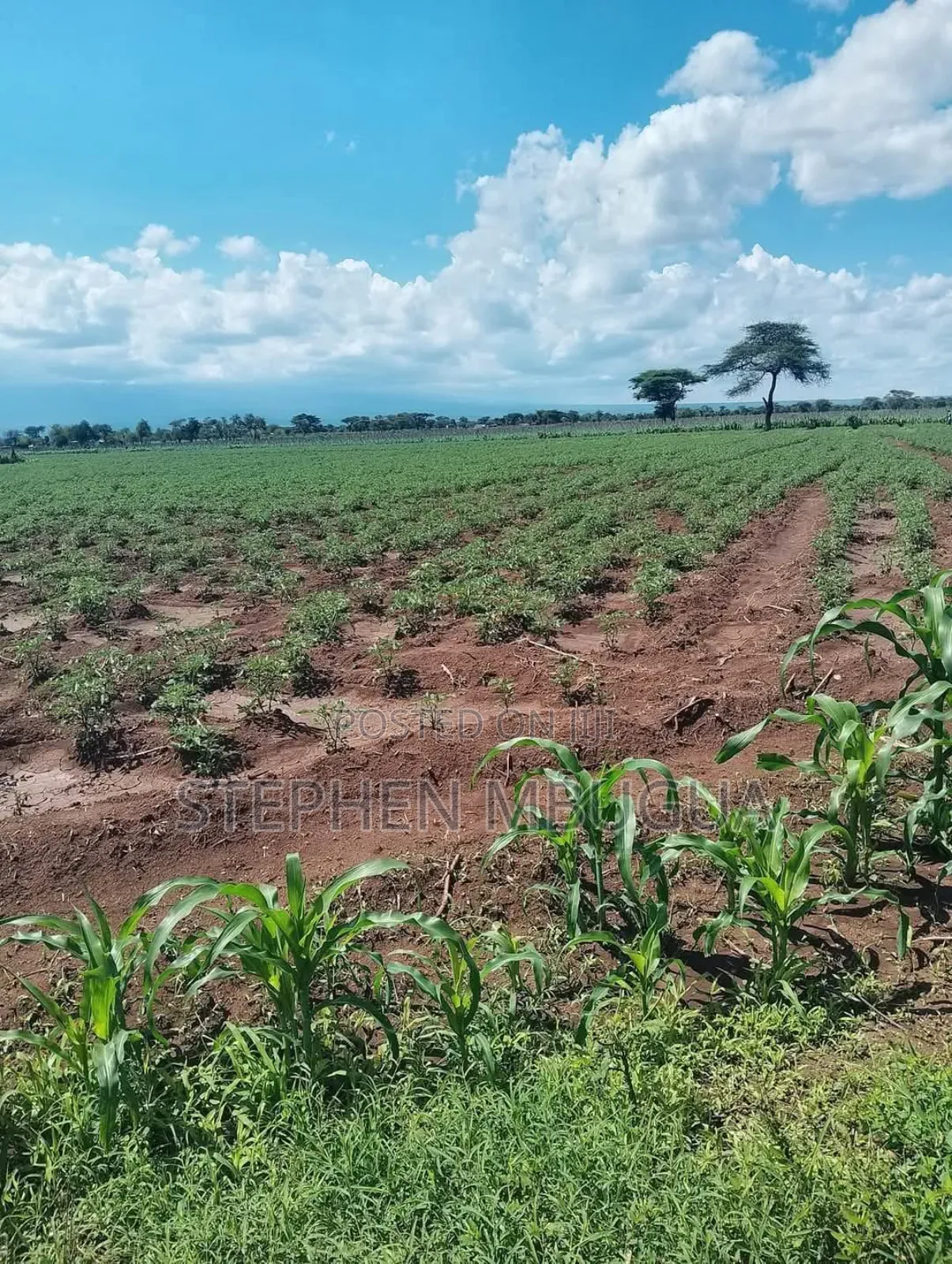 30 Farming Acres in Malindi-Ksh4.5million(Per Block)7blocks Available