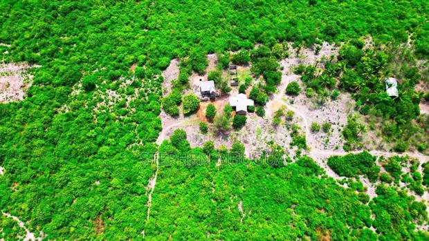Malindi Beach Posts - main view