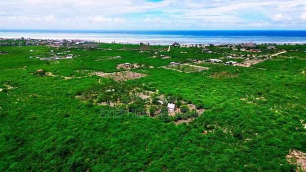 Malindi Beach Posts - thumbnail 4