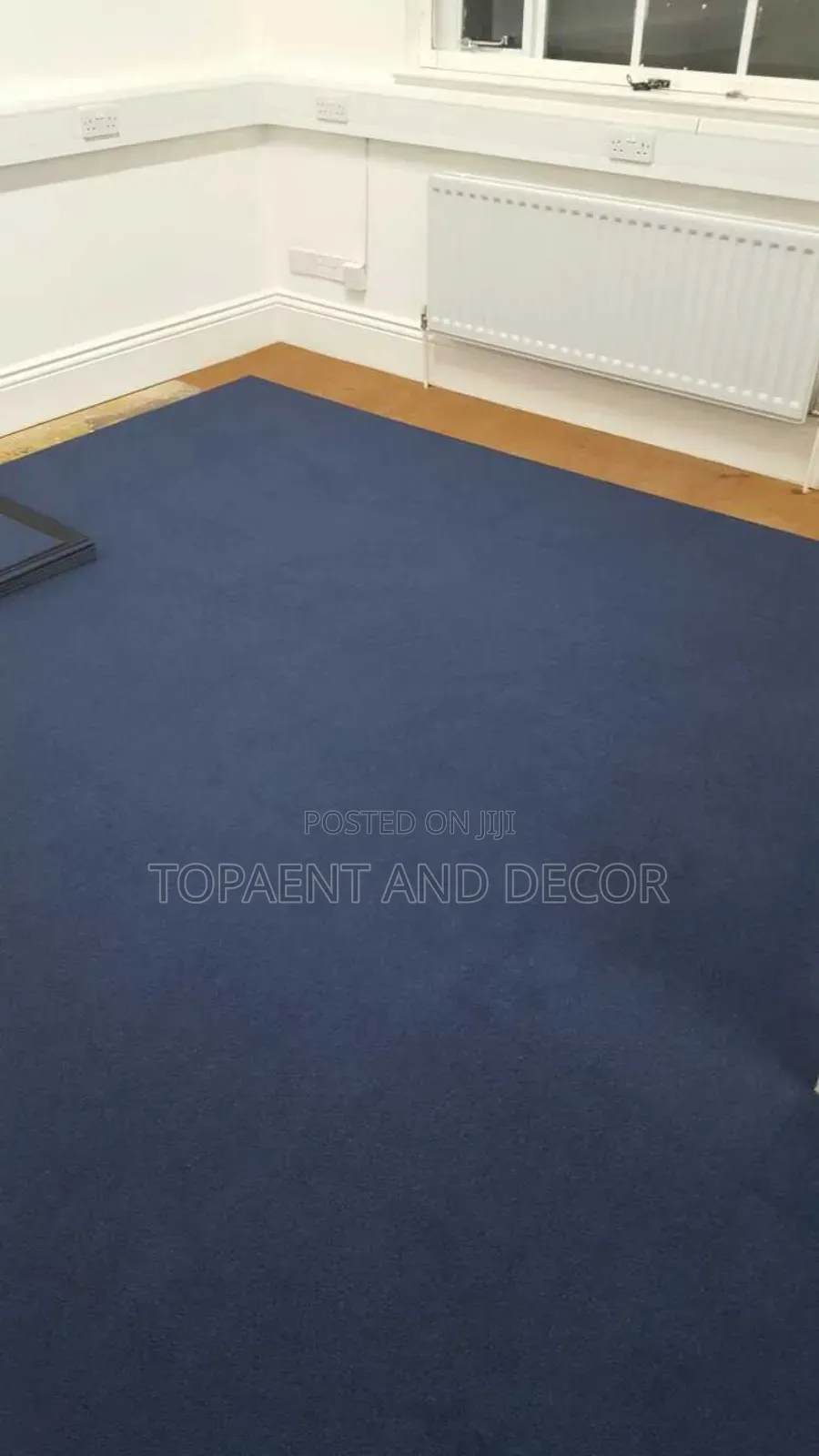 Quite Soft and Always Stylish Wall to Wall Carpet