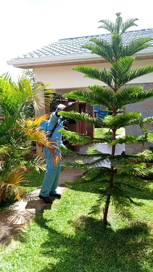 Snakes Control Services in Kiambu