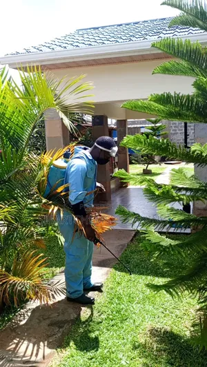 Snakes Control Services in Kiambu