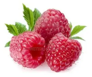 Sweet Red Raspberry