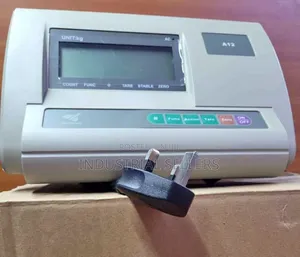 300 A12 Head Scale