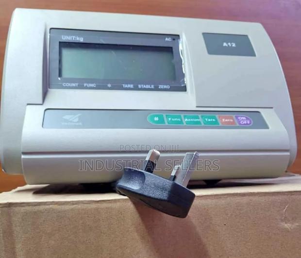 300 A12 Head Scale