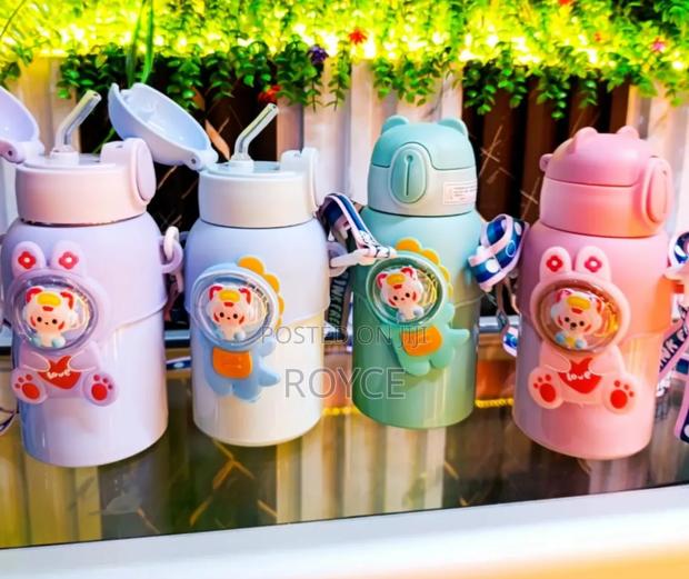 520ml Thermal Water Bottle - main view