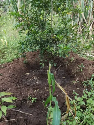 1acre Farm