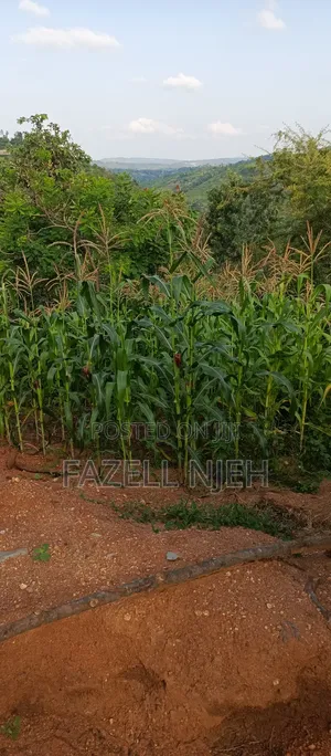 1acre Farm