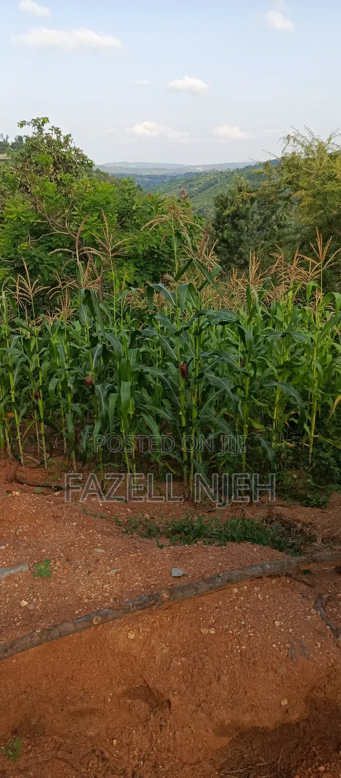 1acre Farm