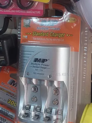 Multiple Power Standards Charger