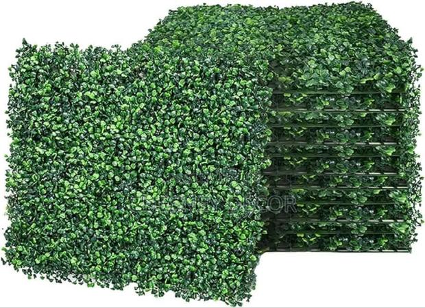 Wall Hedges - main view