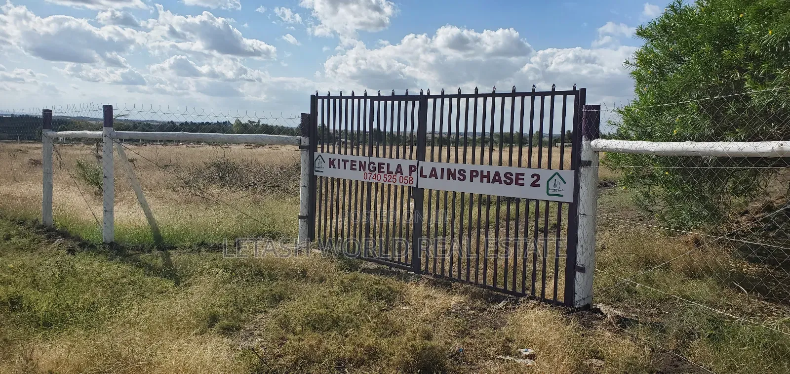 50 by 100 Ft Plots in Kitengela 500 MTRS From the Highway