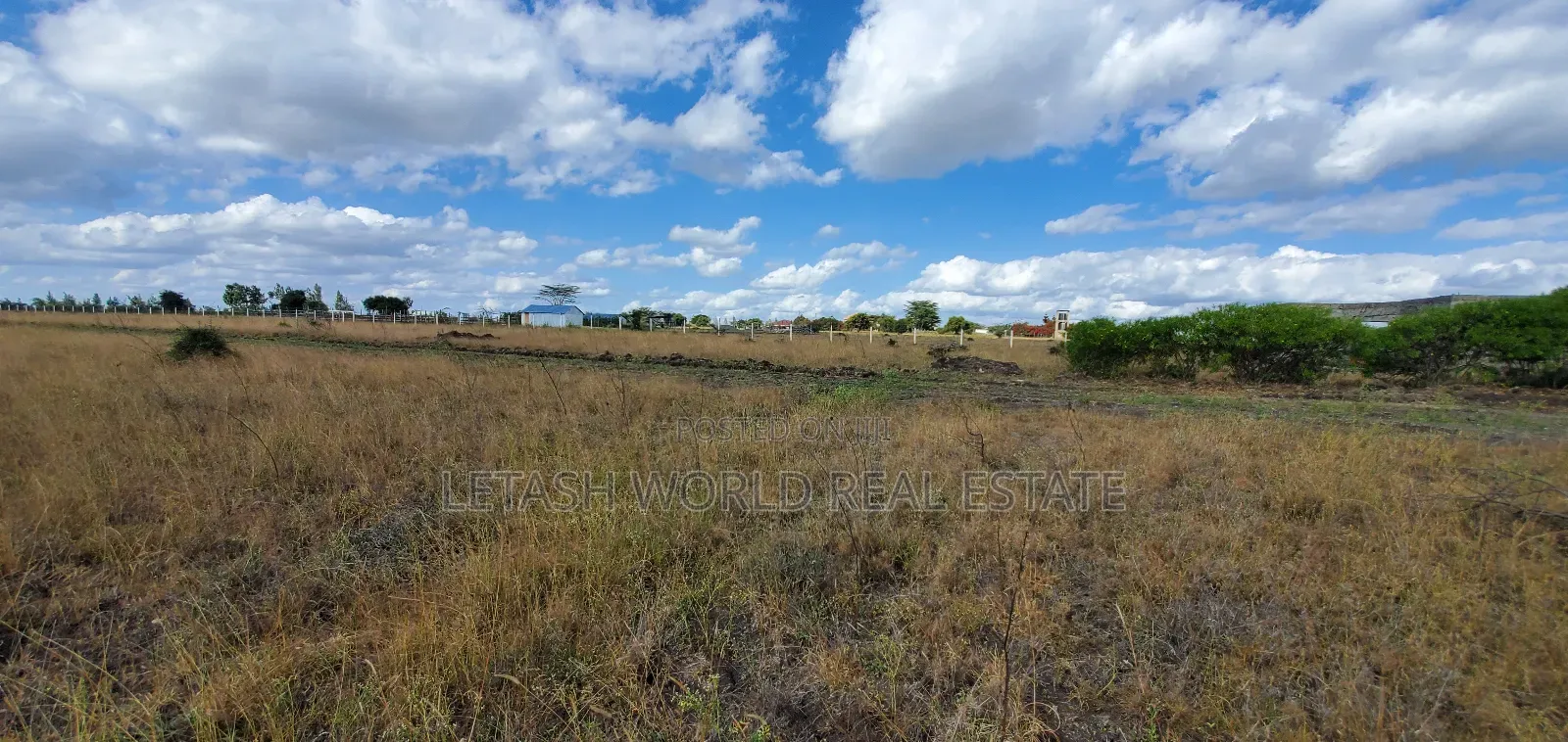 50 by 100 Ft Plots in Kitengela 500 MTRS From the Highway