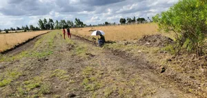 50 by 100 Ft Plots in Kitengela 500 MTRS From the Highway