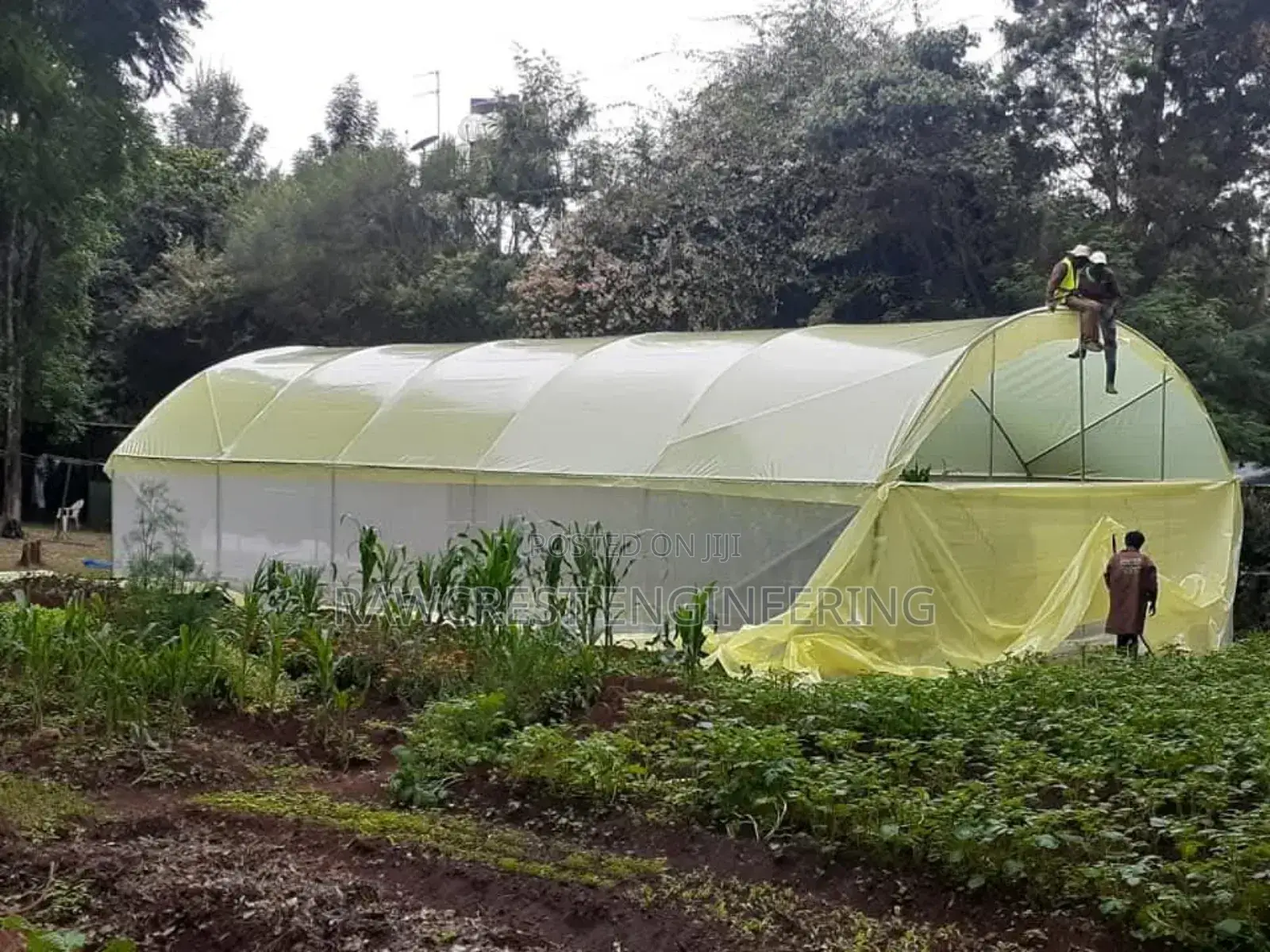 Greenhouse Construction