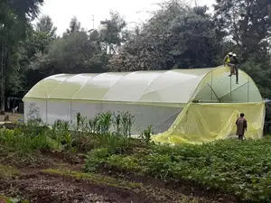Greenhouse Construction