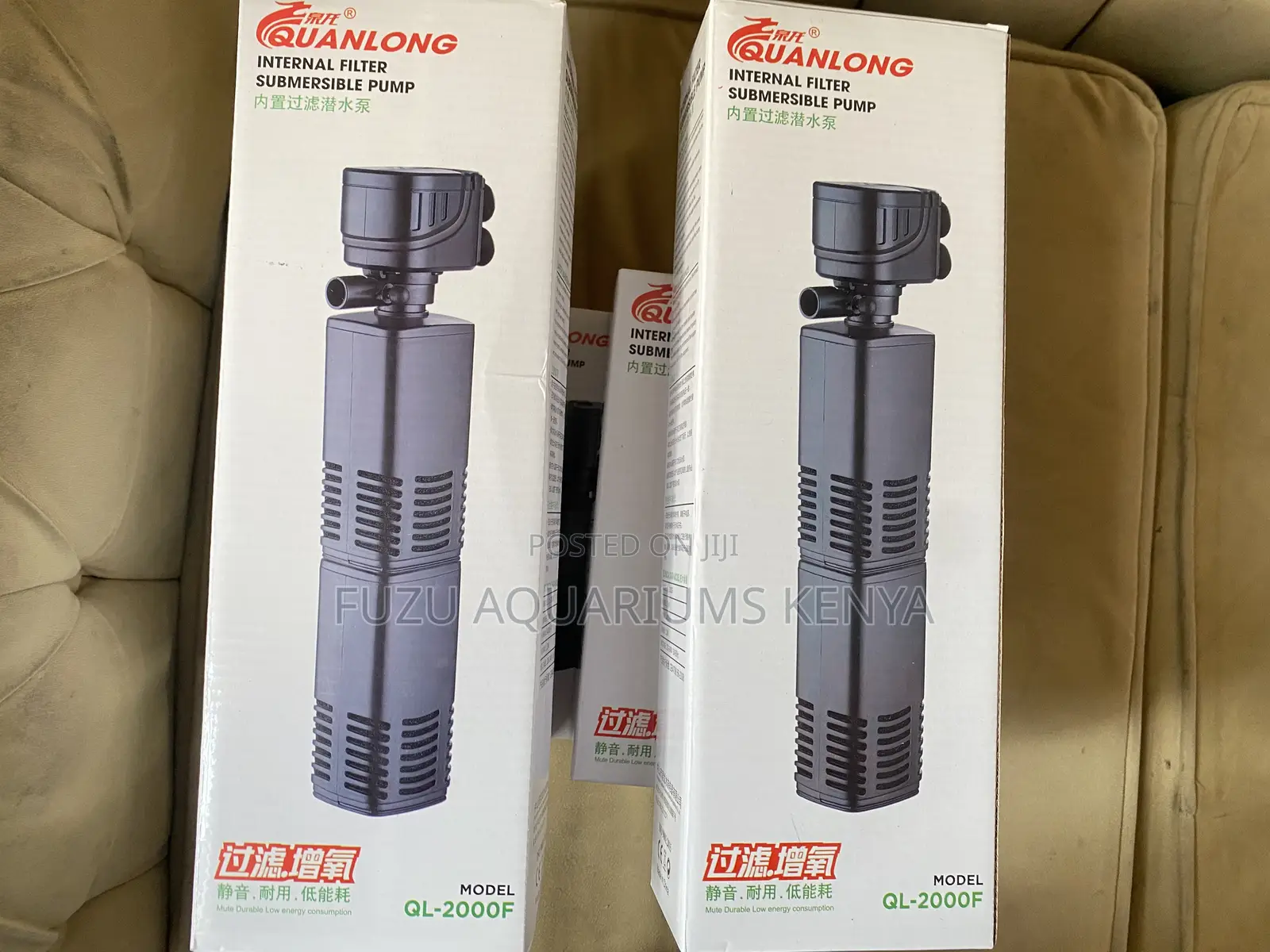 Filter Pump – Ideal for Beginners Pros
