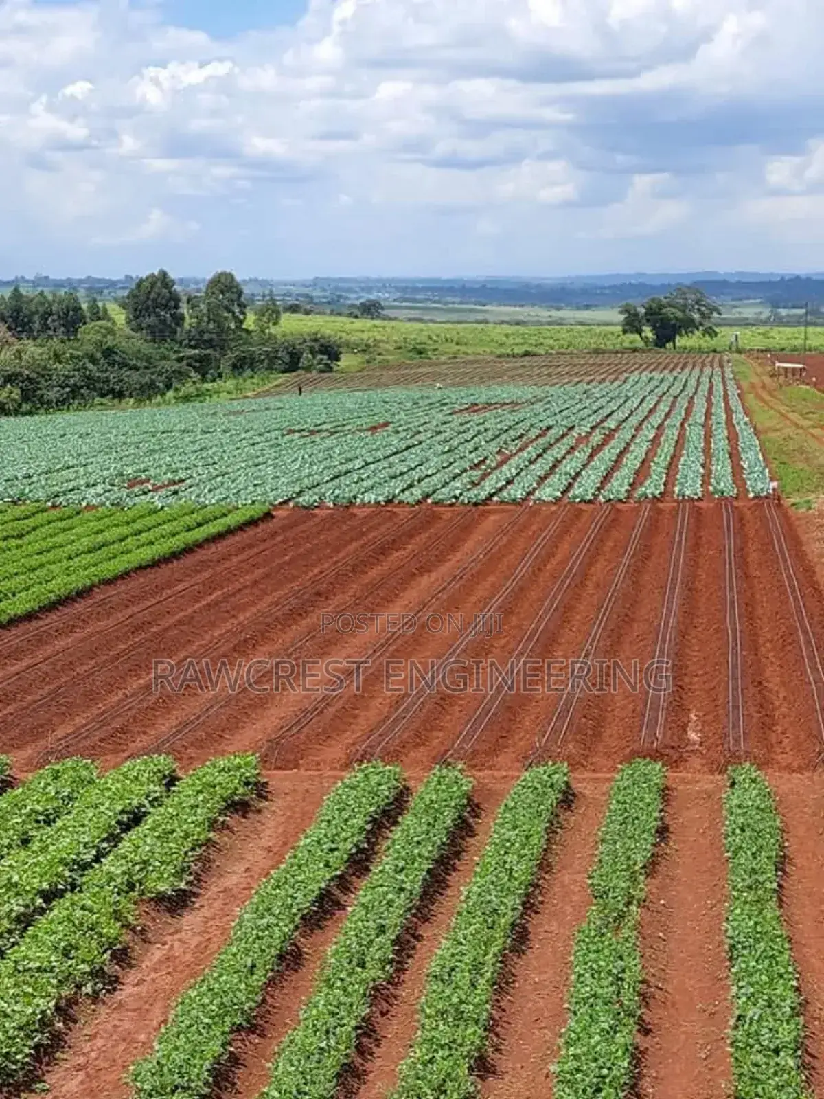 Drip Irrigation Installation