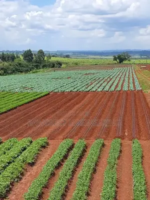 Drip Irrigation Installation