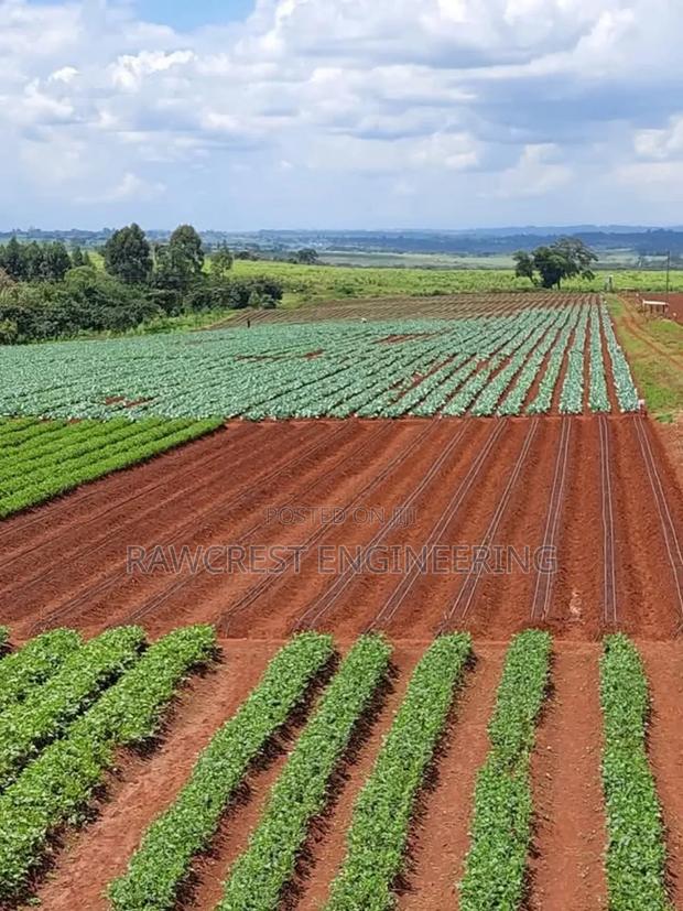 Drip Irrigation Installation