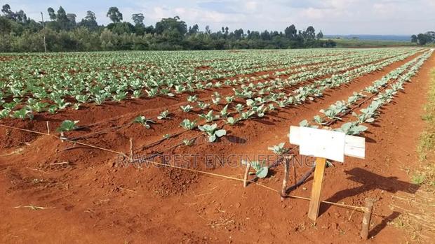 Drip Irrigation Installation - thumbnail 2