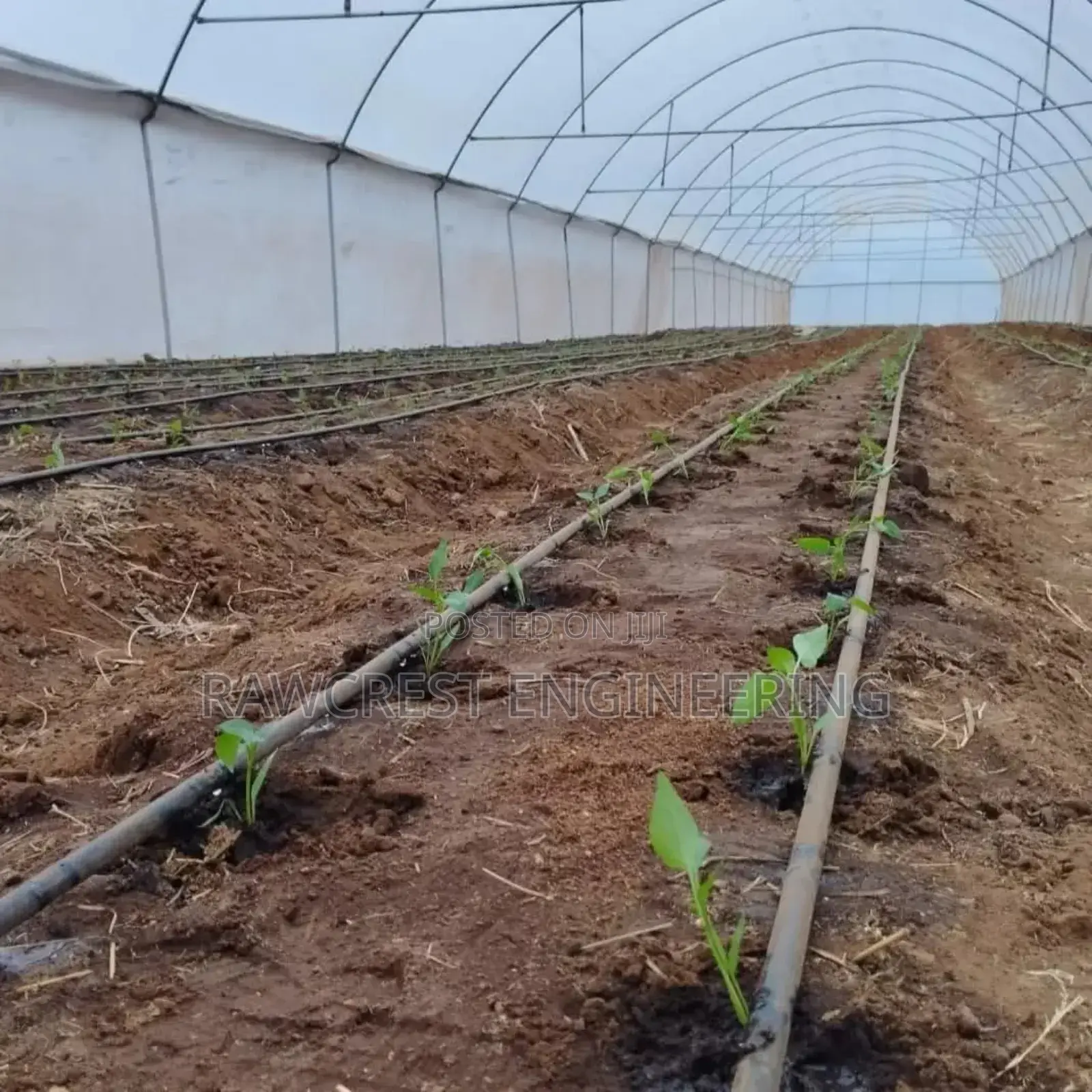 Greenhouse Construction