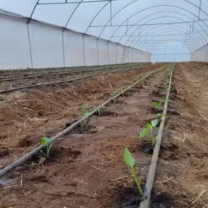 Greenhouse Construction