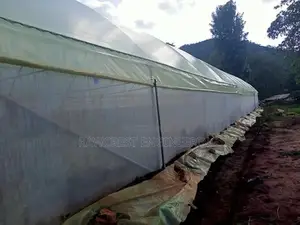 Greenhouse Construction And Drip Irrigation System