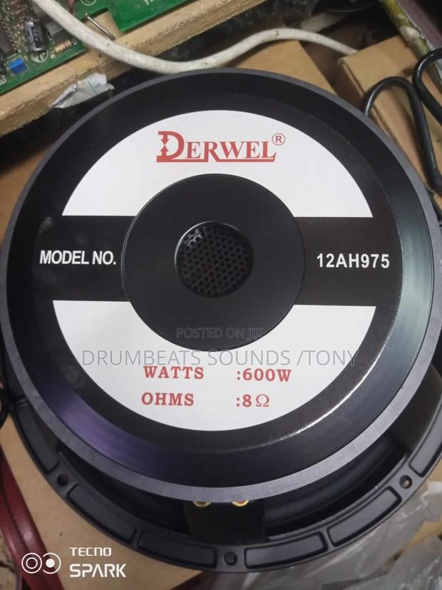 Derwel Speakers 12 Inches (600watts) - main view