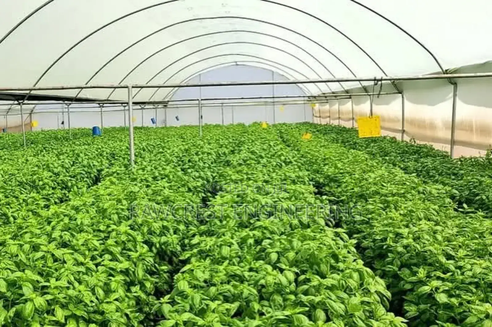 Greenhouse Construction and Related Services