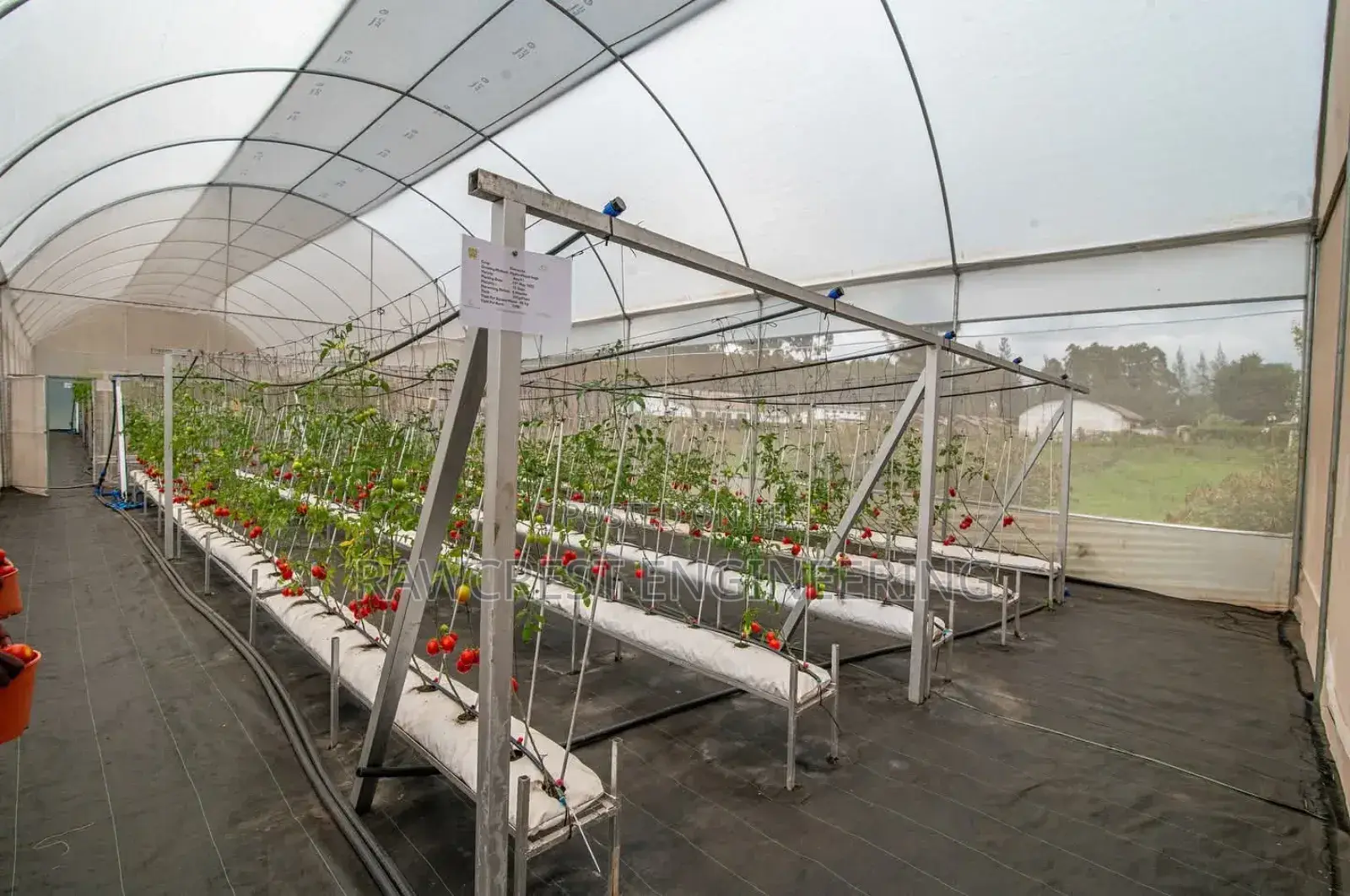 Greenhouse Construction and Related Services