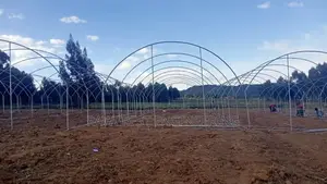 Greenhouse Construction And Drip Irrigation System