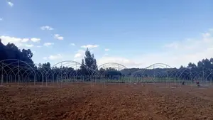 Greenhouse Construction And Drip Irrigation System