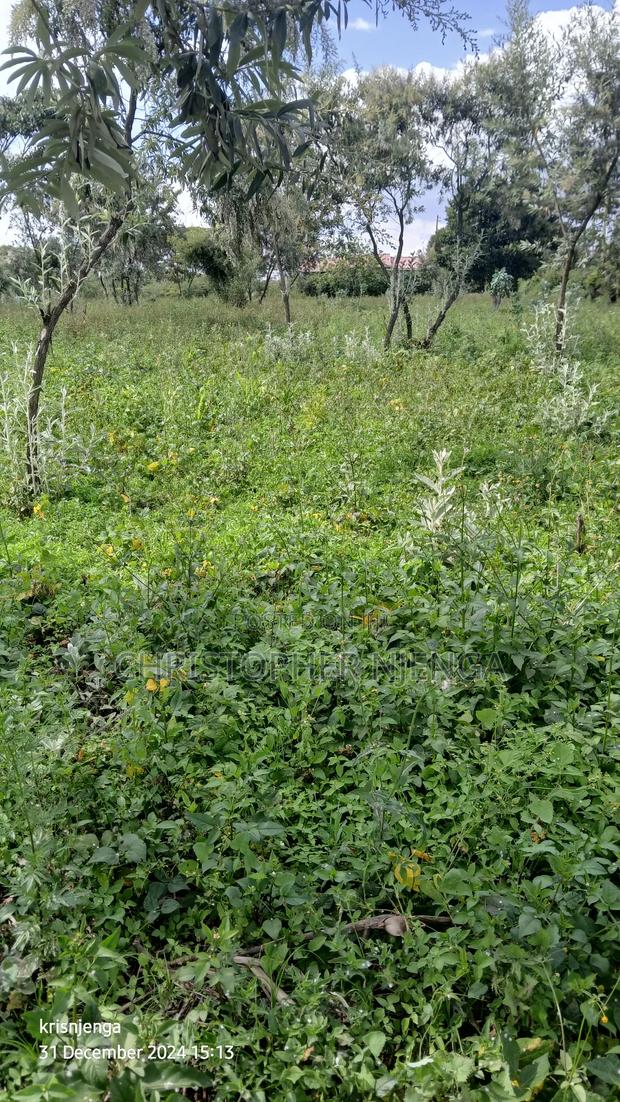 Plot for Sale - main view