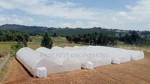 Greenhouse Construction And Drip Irrigation System