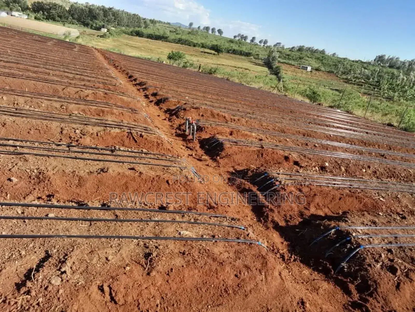 Drip Irrigation System Installation