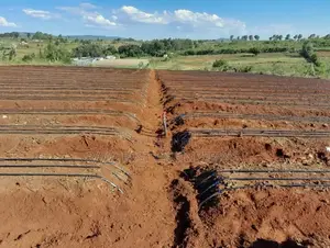 Drip Irrigation System Installation