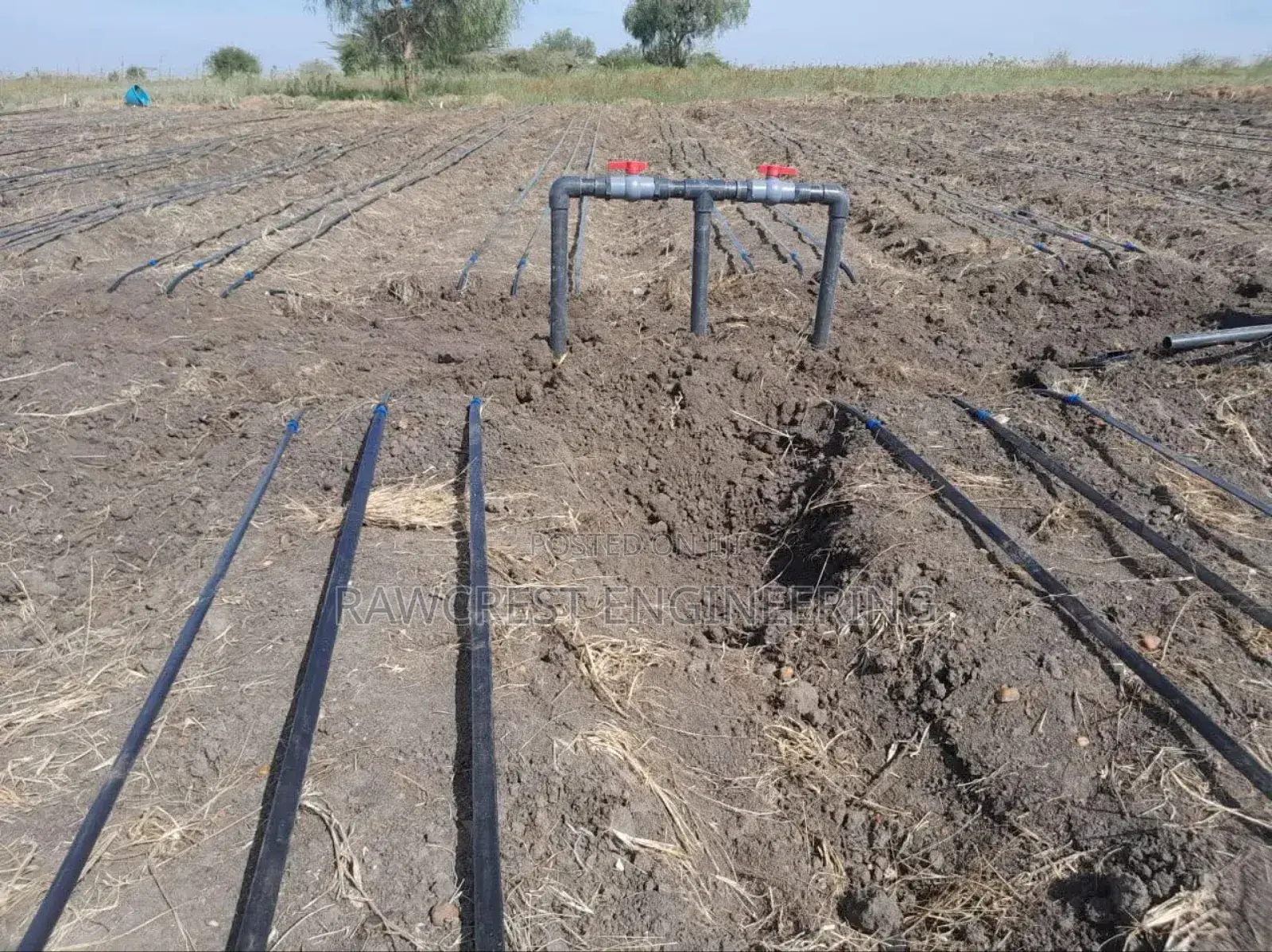 Greenhouse Construction And Related Services