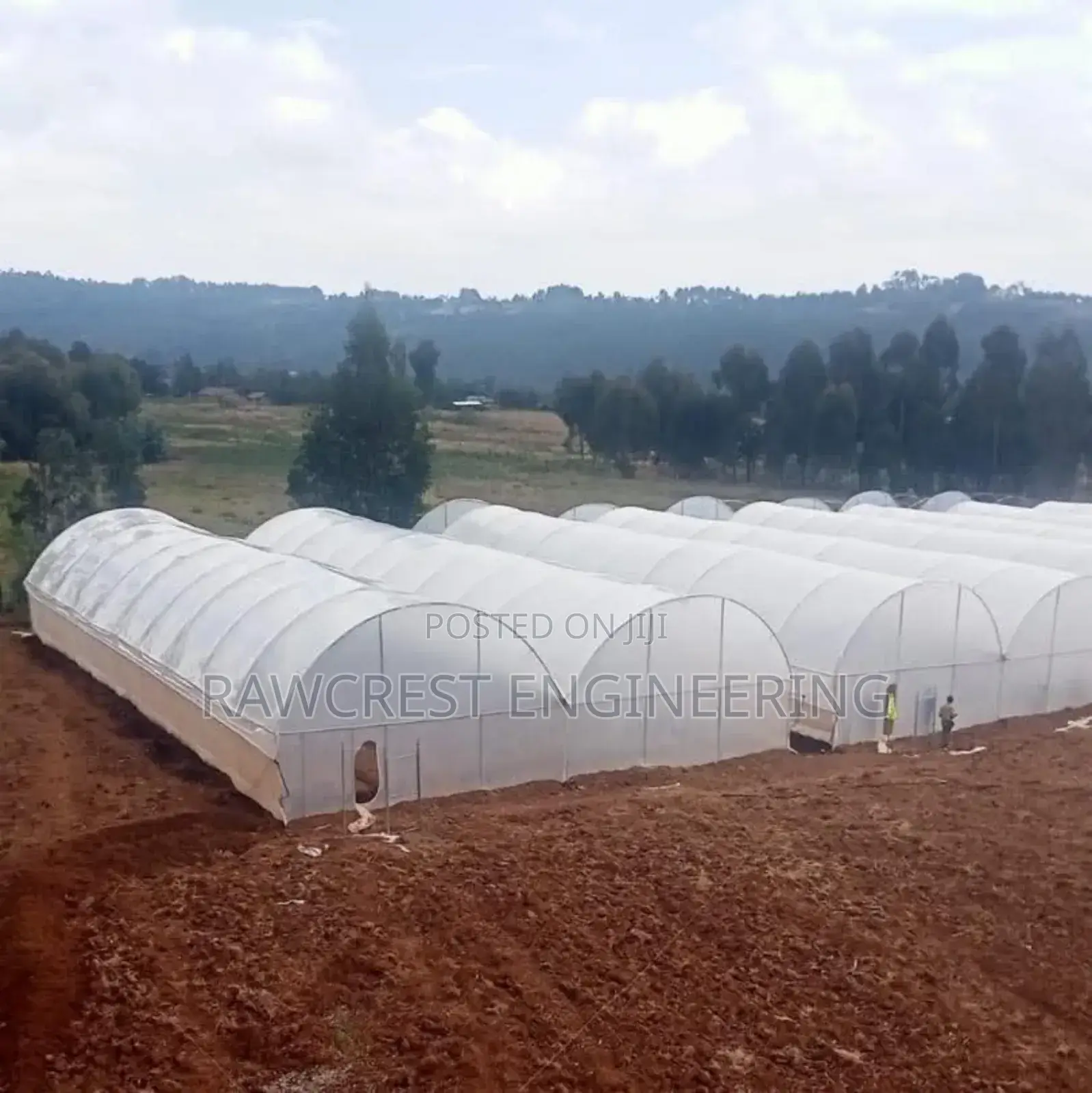 Greenhouse Construction And Related Services
