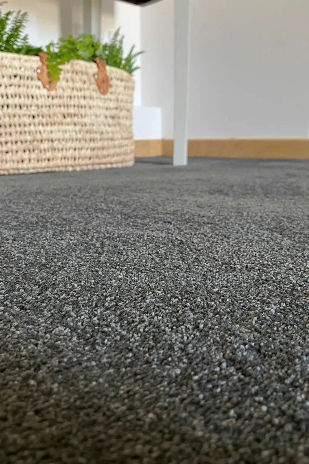 Delta Carpet Dreams Are Made by These