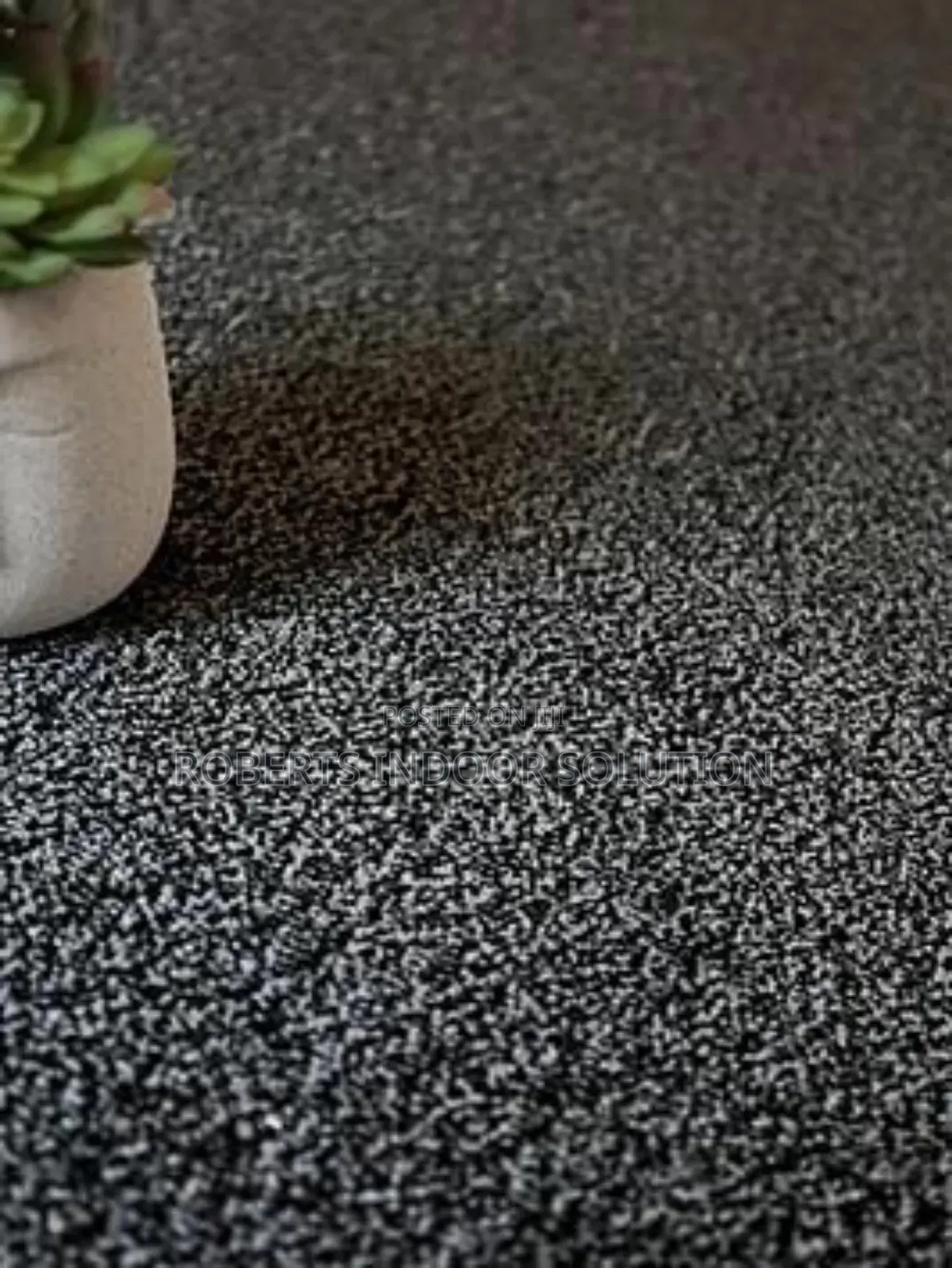 Delta Carpet Dreams Are Made by These