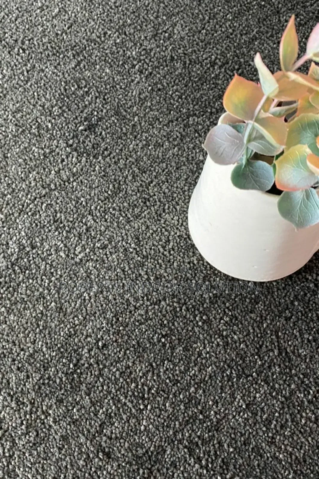 Delta Carpet Dreams Are Made by These