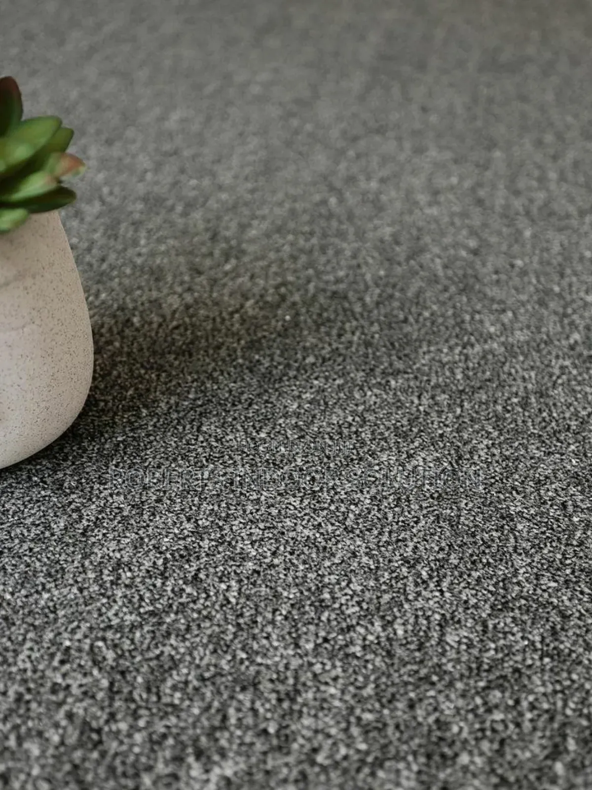 Delta Carpet Dreams Are Made by These
