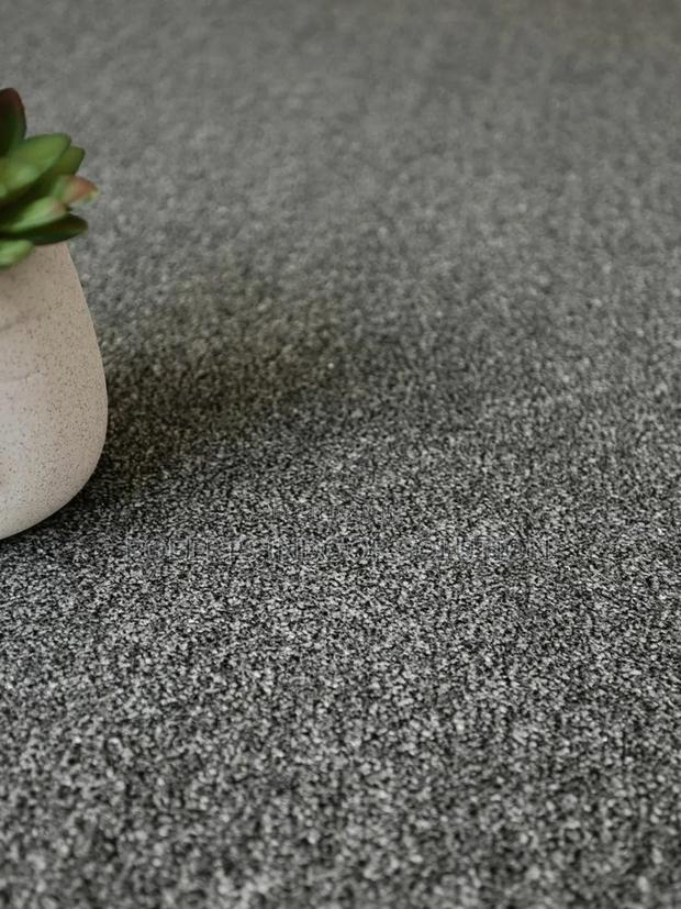 Delta Carpet Dreams Are Made by These - thumbnail 4